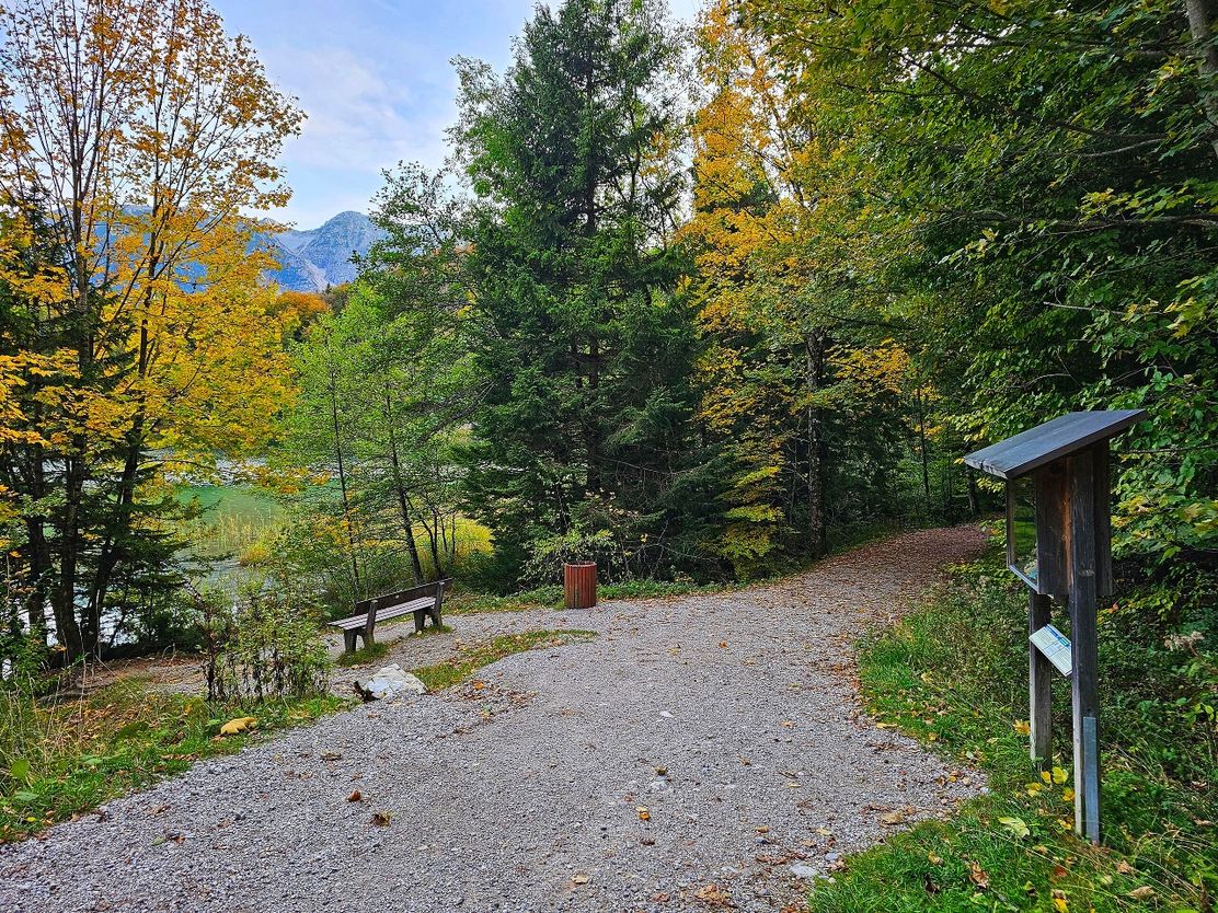 Vogelerlebnispfad Alatsee