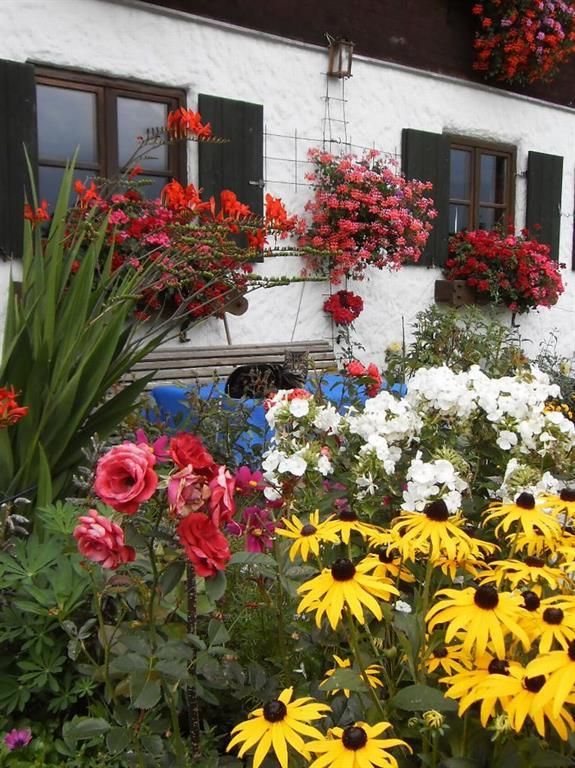 Blumen