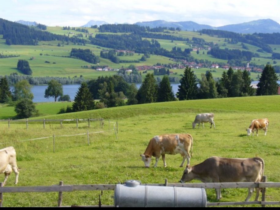 seeblick