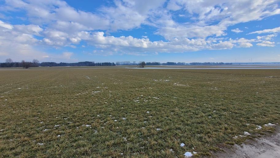 Stadtwaldrunde in Buchloe