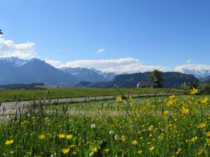 Hof_Lage_Aussicht Sommer