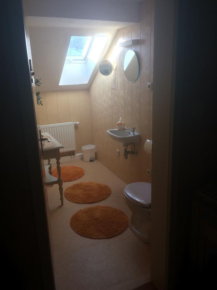 TOILETTE_MIT_DACHFENSTER