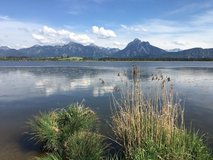 Hopfensee mit Säuling im Hintergrund