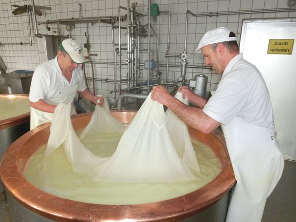 Käsesproduktion in der Sennerei