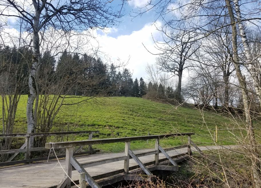 Holzbrücke hinter Burgelitz