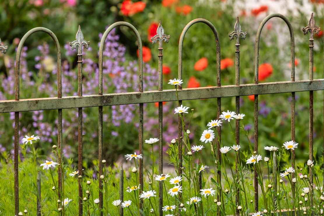 G_Artenvielfalt_Fotografin_Tanja_Kutter