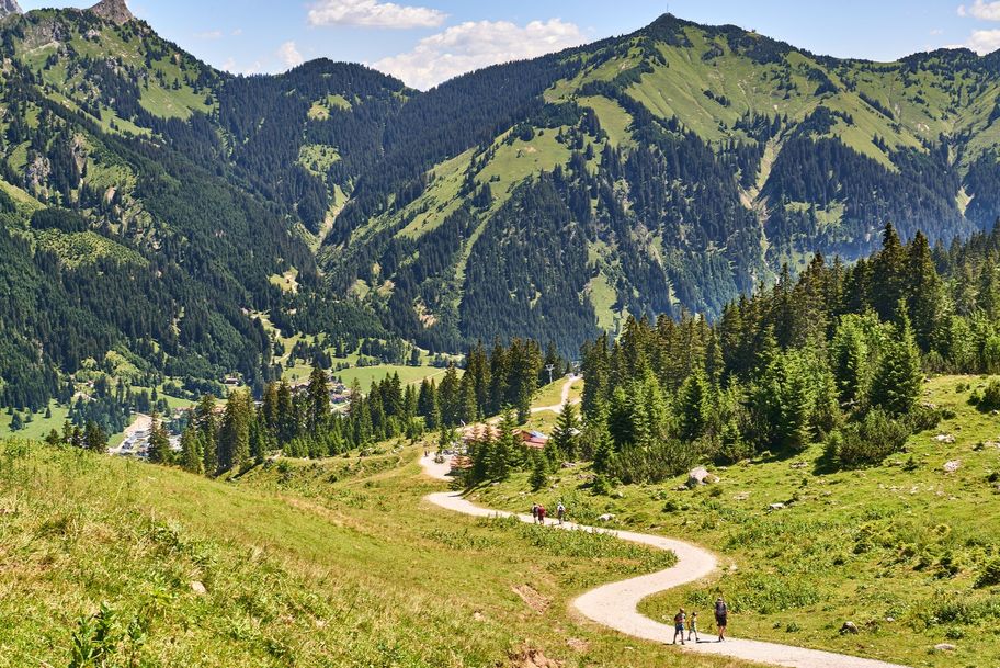 Forstweg zur Krinnenalpe