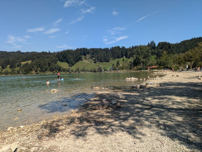 Alpsee Badestelle