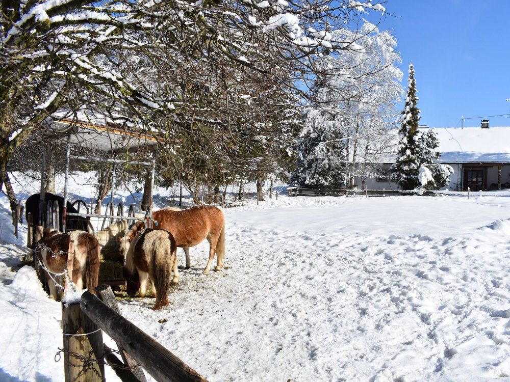 bilder kamera neu 684