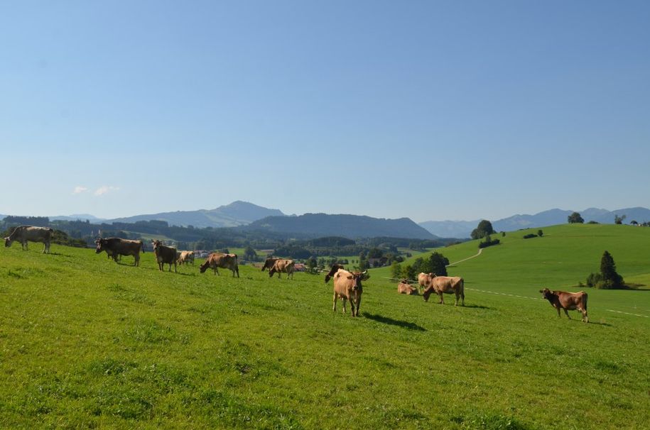 unbeschreiblicher Ausblick