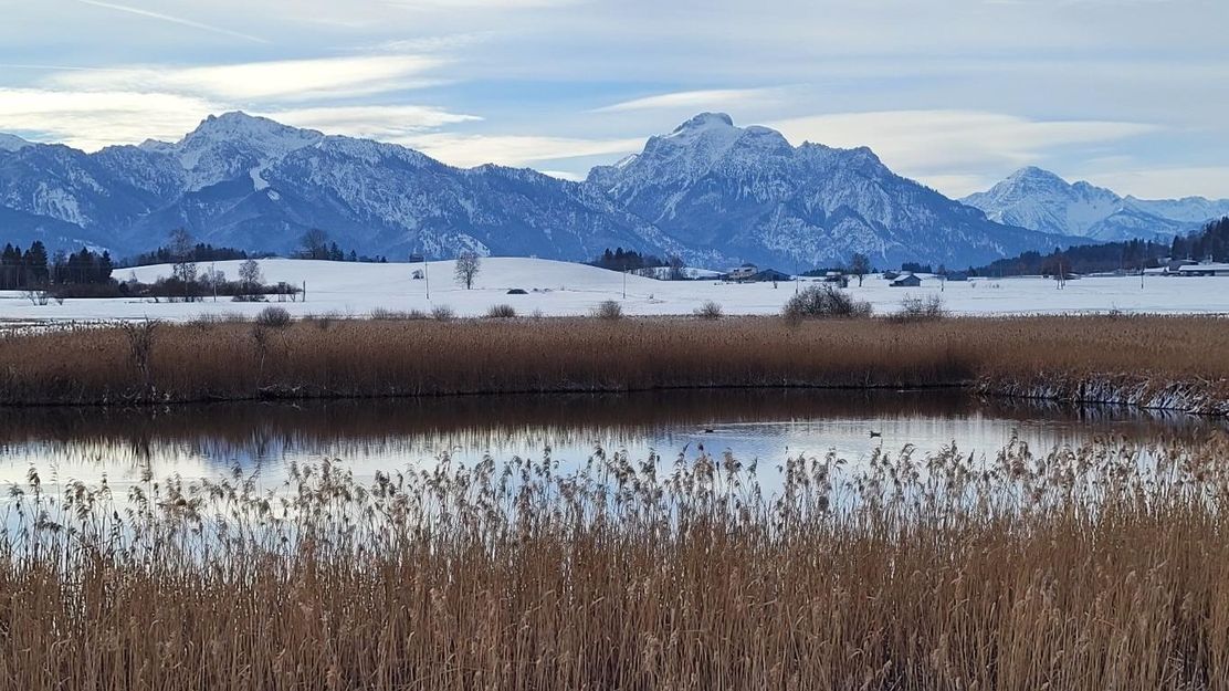 Tegelberg und Säuling, im Vordergrund der Huttler-Weiher bei Roßhaupten