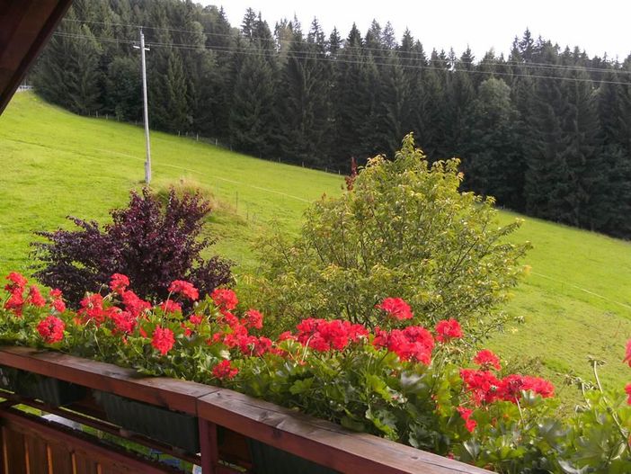 Blick vom Balkon