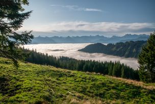 Naturpark Nagelfluhkette
