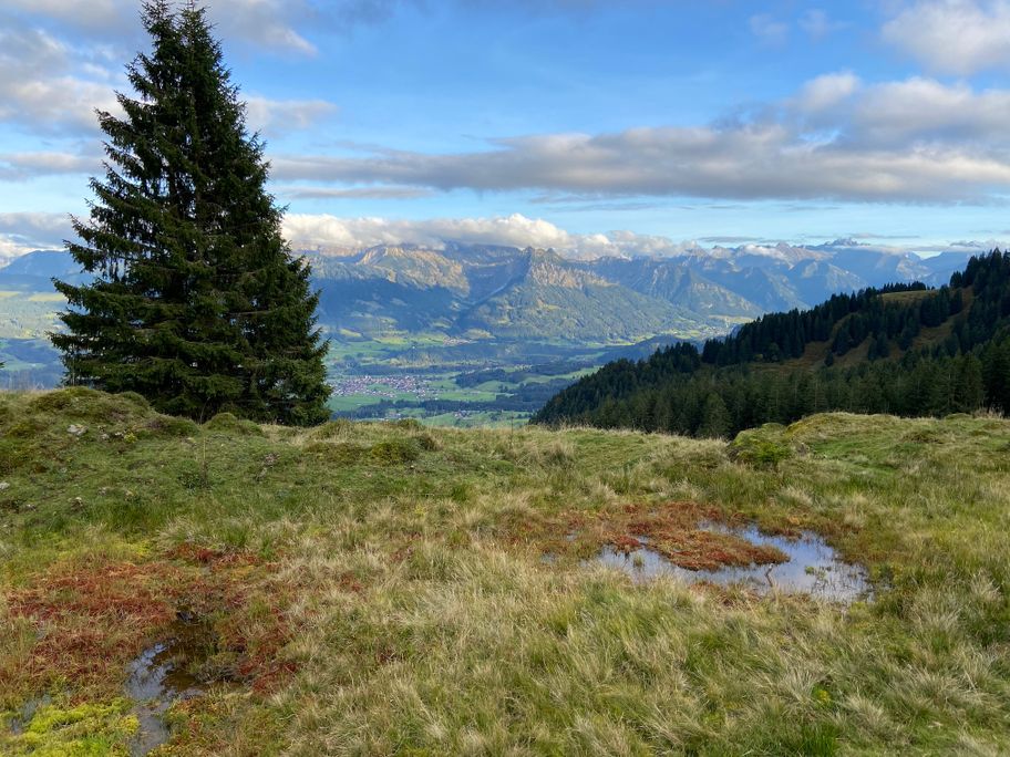 Ausblick auf der Hörner-Panoramatour