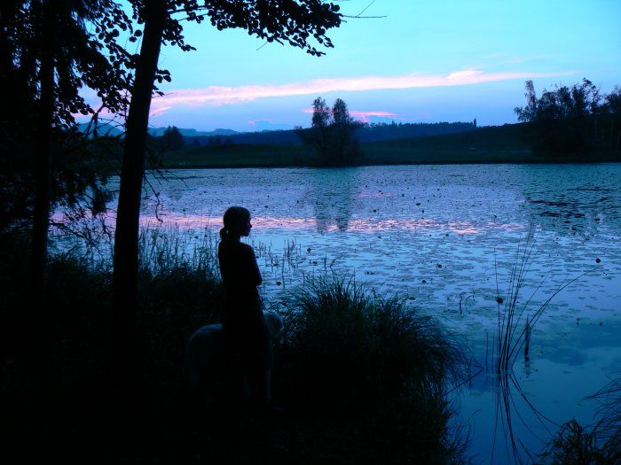 EU-Schutzgebiet Widdumer Weiher