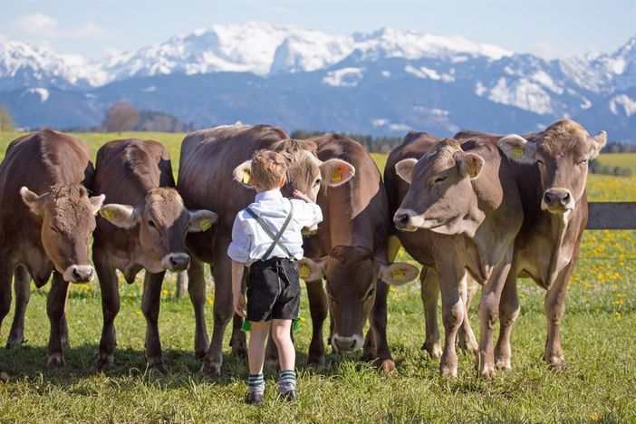 Landwirtschaft