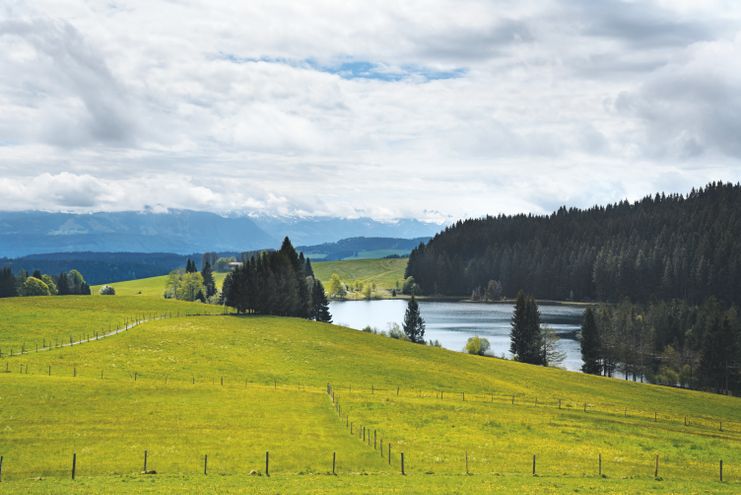 Eschachweiher_BRA_4858_ret