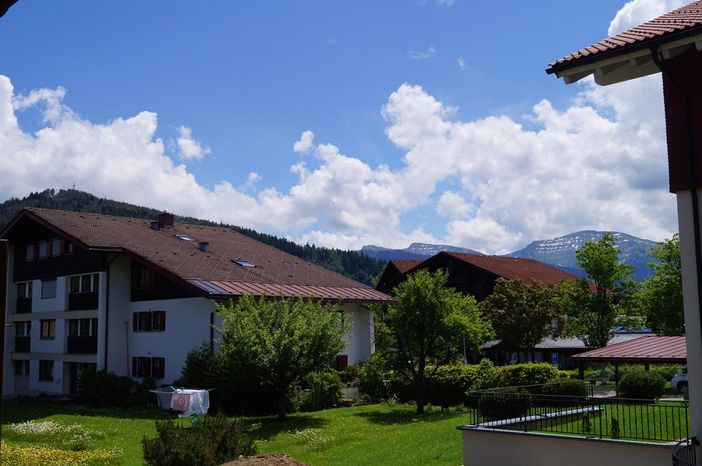 Blick ins Grüne