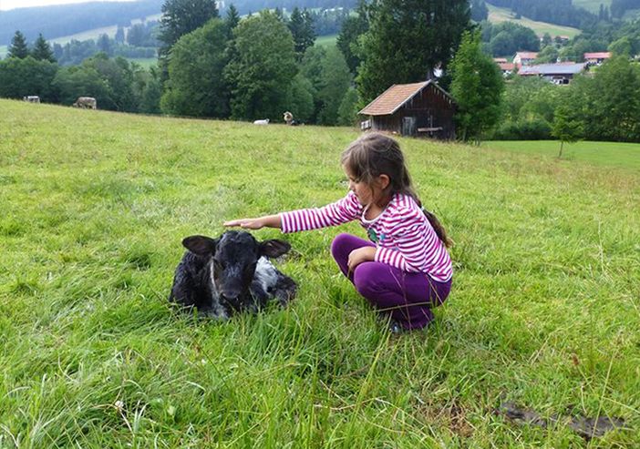 Die "Kleinen" im Streichelzoo