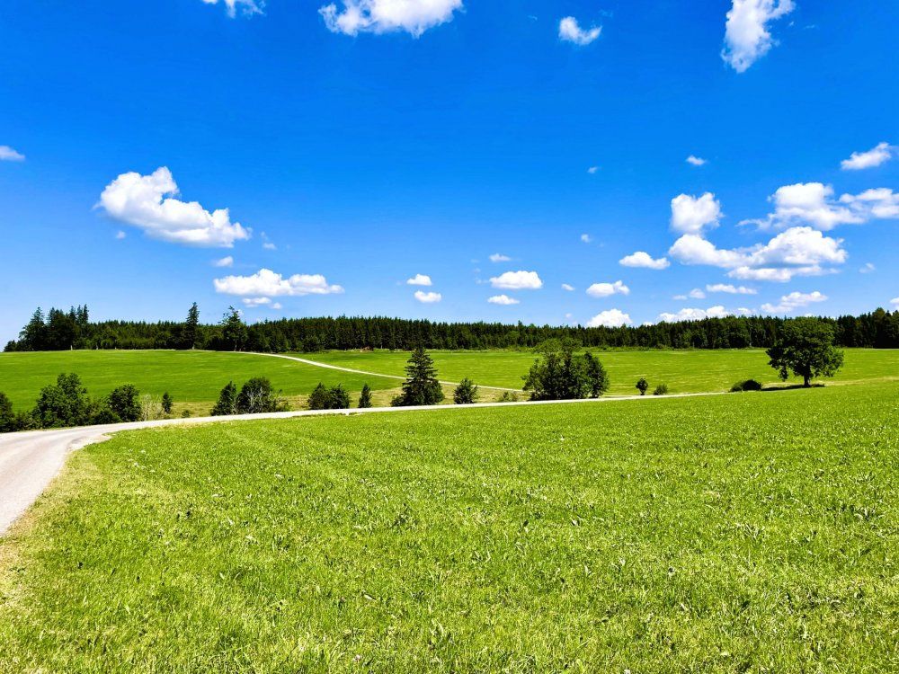 Wiesen und Wälder ums Haus