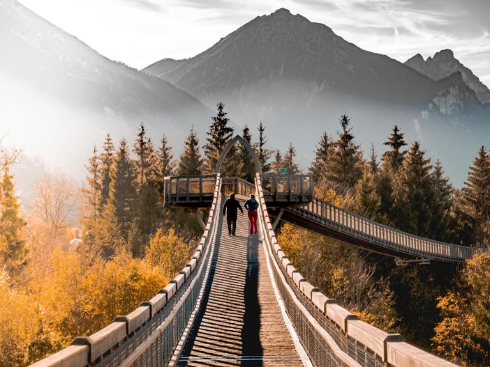 Der Baumwipfelpfad in Füssen: Natur pur erleben!