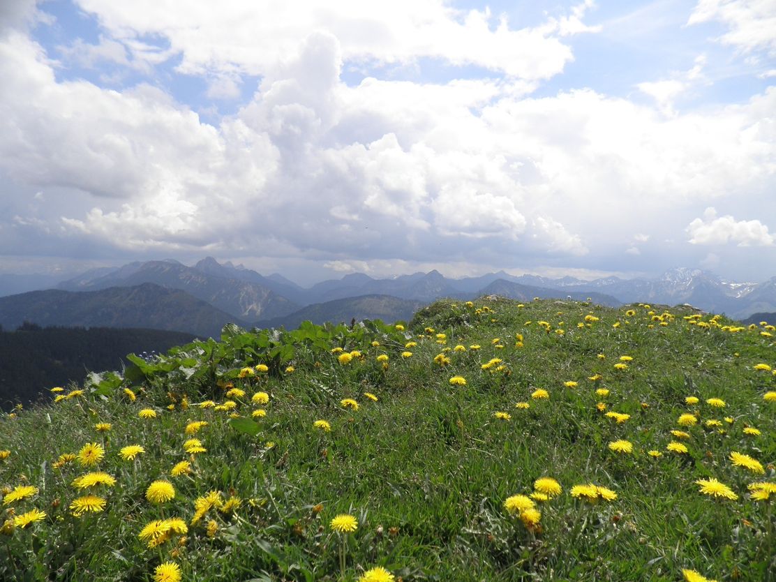 Blick von der Reuterwanne im Allgäu nach Süden