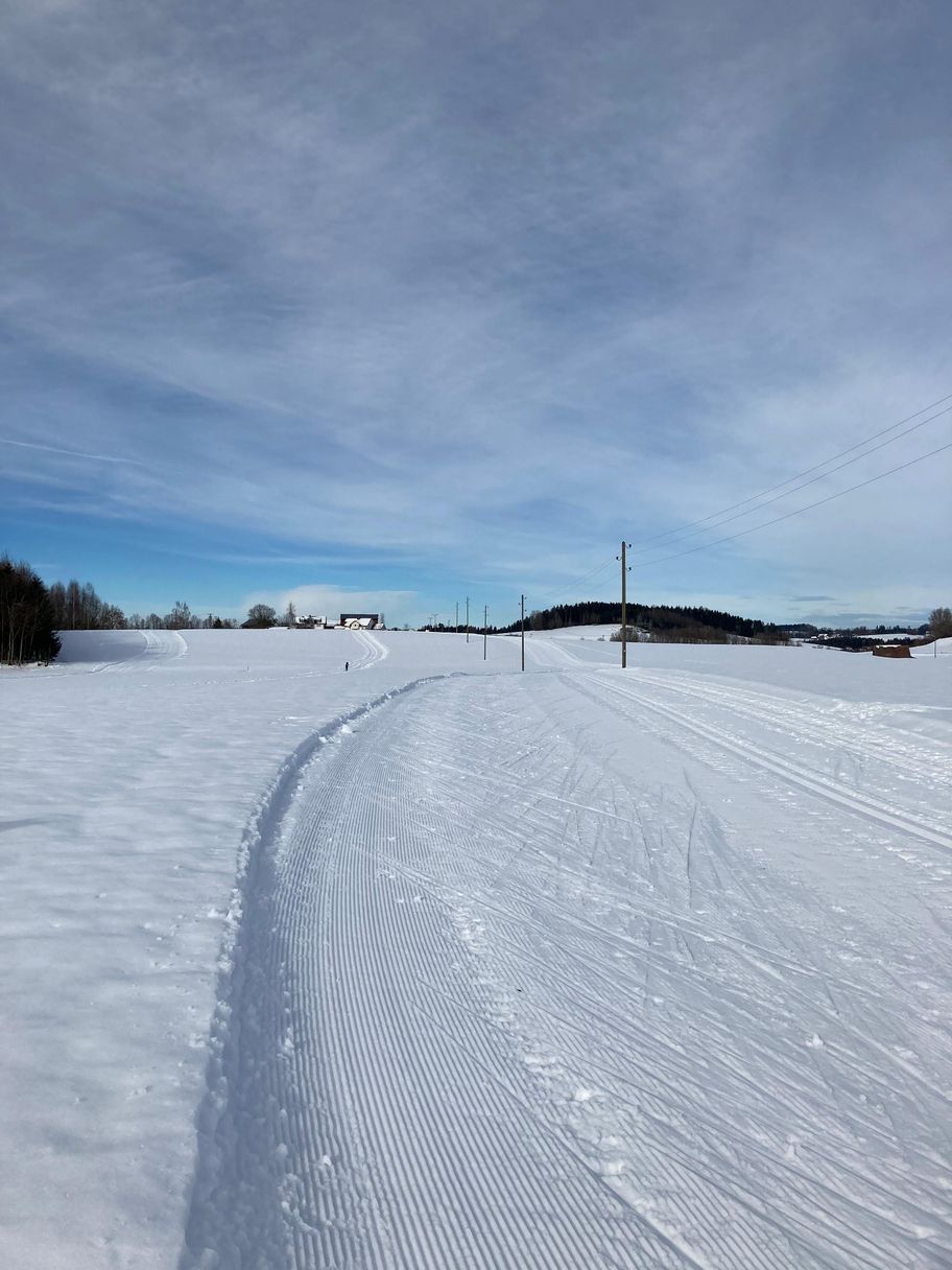Flutlichtloipe Niederwangen