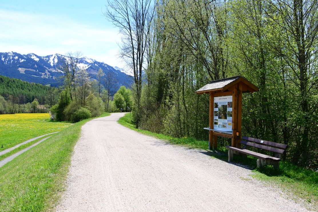 Illerdamm und Illerauen in Sonthofen mit Blick in die Allgäuer Alpen