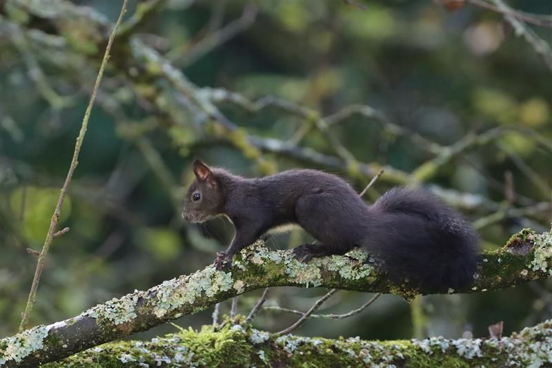 Herbstgeflüster_Theresa Hilber