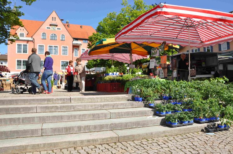 Wochenmarkt Lindenberg © Sascha Schmid (30)