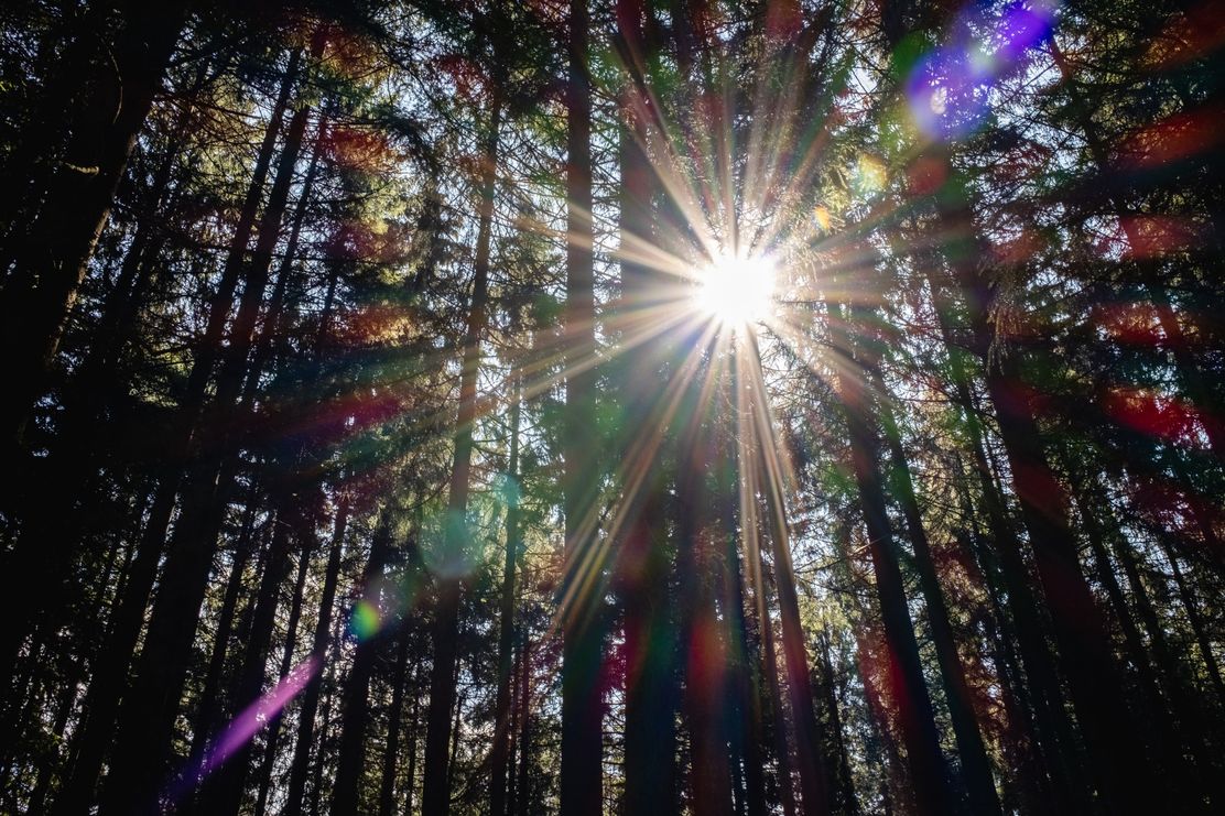 Bier-Genusswanderweg 5: Vom Großen Wald auf den Grüntengrat