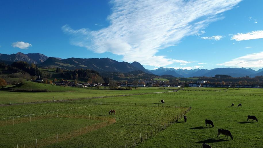 Blick vom Balkon