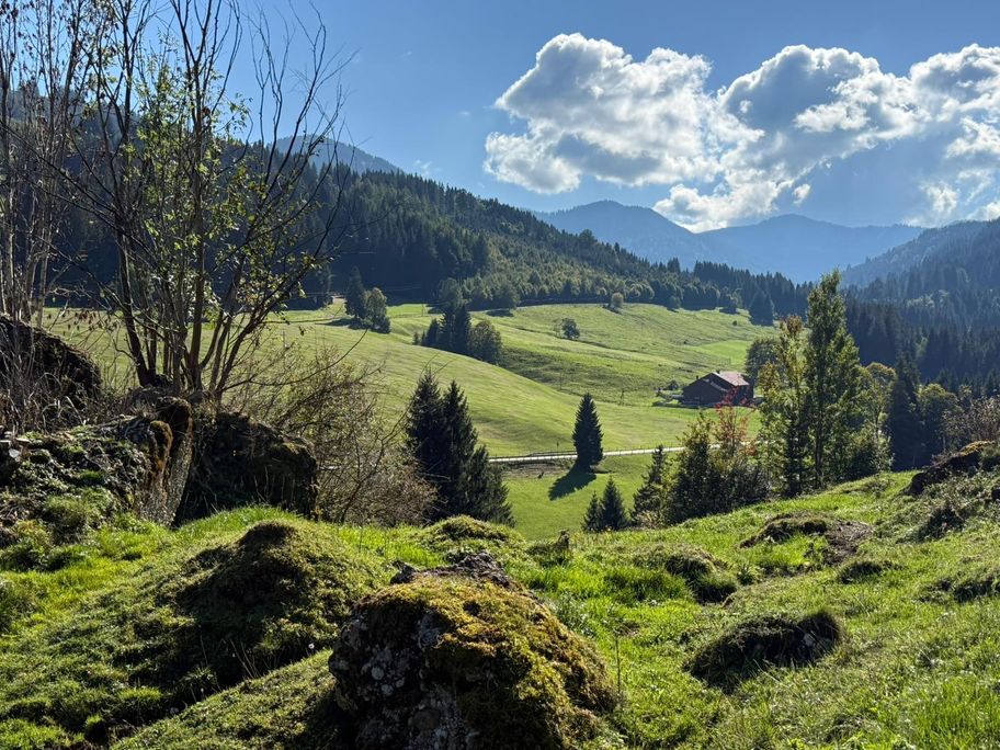 Gunzesrieder Tal
