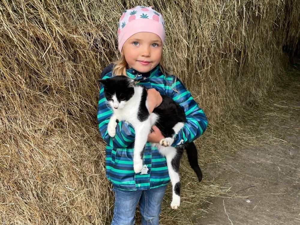 Unsere Hofkatze Moni freut sich über Streicheleinheiten