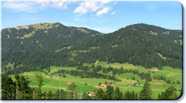panorama