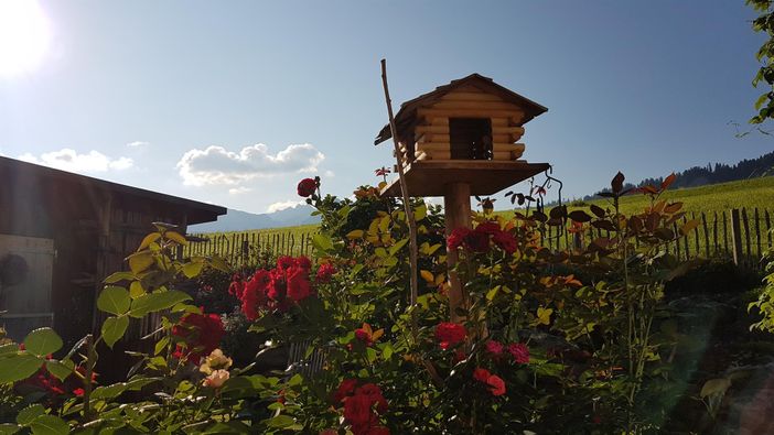 Sommerzeit