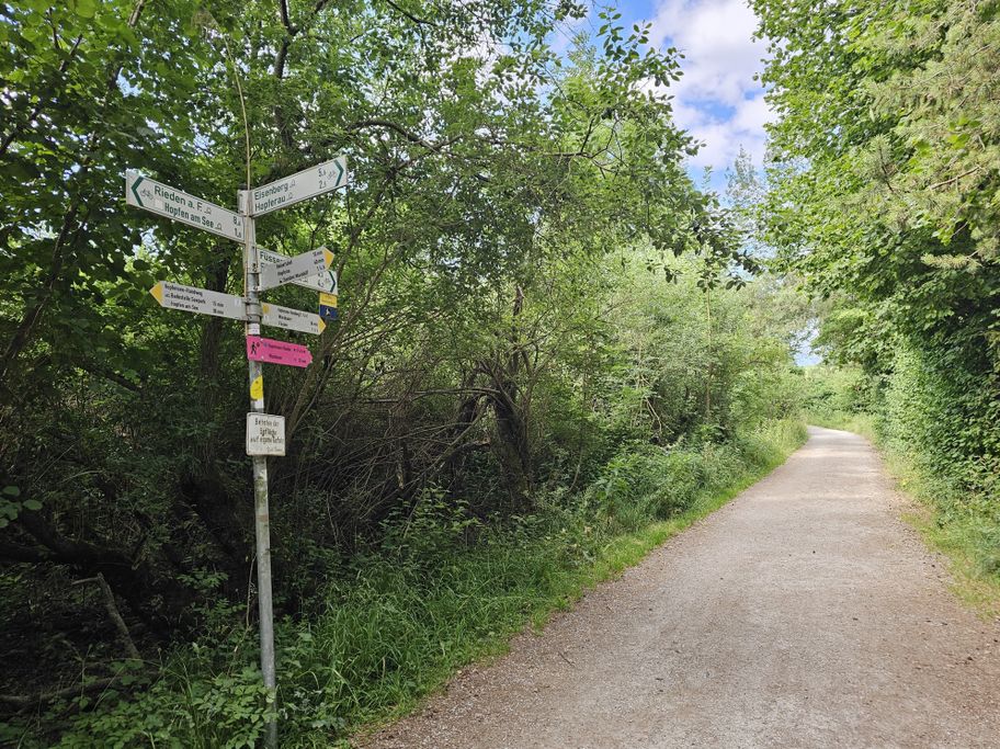 Weggabelung am Hopfensee-Rundweg