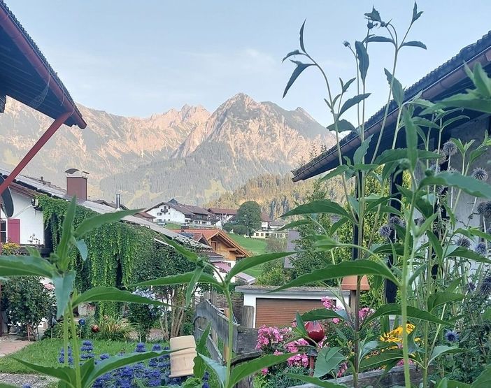 Blick vom Haus Irmgard aufs Nebelhorn