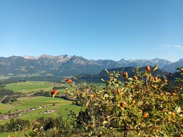 Wanderung zum Sonderdorfer Kreuz