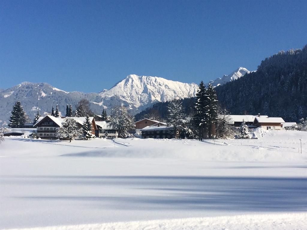 Ried_Winter