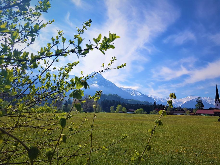 Frühling in Fischen