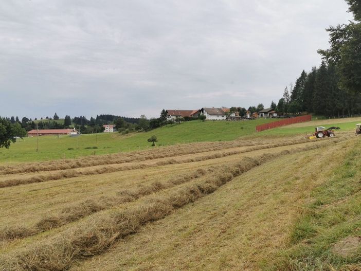 Beim  Heiba