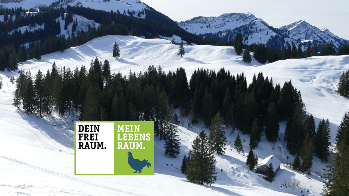 Durch das Steigbachtal zur Alpe Mittelberg