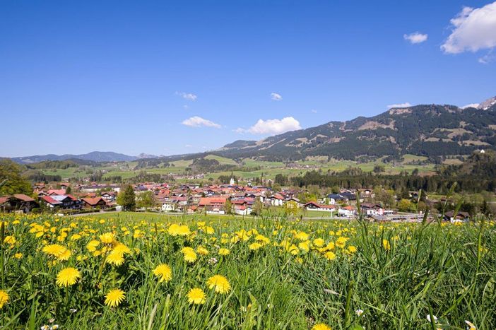 1086234_Löwenzahnfrühling in Fischen