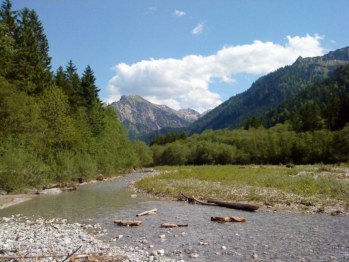 Ostrach