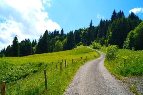 Weg oberhalb Hüttenberg