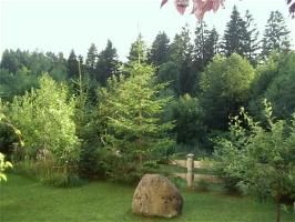 Ihr Garten der FeWo