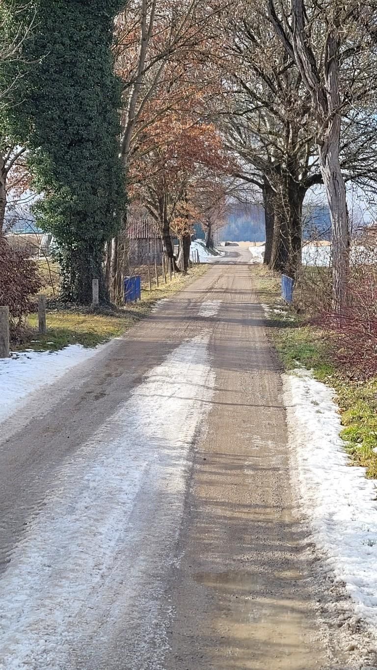 Stadtwaldrunde in Buchloe