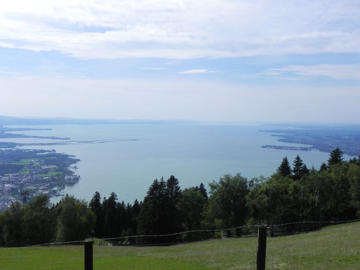 Bodensee Blick vom Pfänder