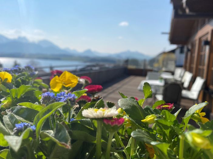 Terrasse_Frühling_HE